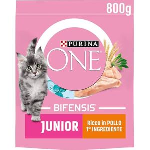 Purina One Bifensis Junior Korrels Purina One Bifensis Junior Korrels
