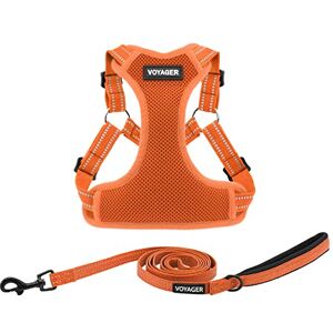 Best Pet Supplies Voyager verstelbare hondenharnas - Reflecterend, Ademend, Alle Weersomstandigheden Best Pet Supplies Voyager verstelbare hondenharnas - Reflecterend, Ademend, Alle Weersomstandigheden