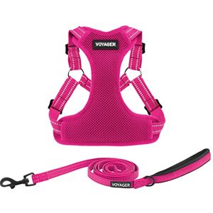 Best Pet Supplies Voyager verstelbaar hondenharnas met tuigje en lijn, reflecterende strepen, Fuchsia, M Best Pet Supplies Voyager verstelbaar hondenharnas met tuigje en lijn, reflecterende strepen, Fuchsia, M