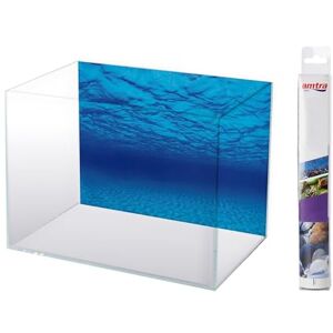 Amtra - Mystic - Dubbelzijdig - 30x60 cm - Poster Amtra - Mystic - Dubbelzijdig - 30x60 cm - Poster