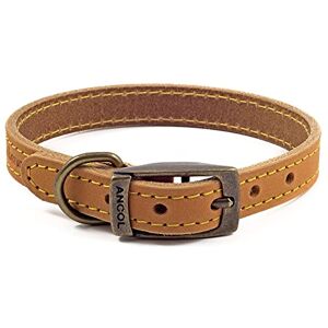 Ancol Timberwolf Lederen Halsband Mosterd - Maat 3 Hond halsband Ancol Timberwolf Lederen Halsband Mosterd - Maat 3 Hond halsband