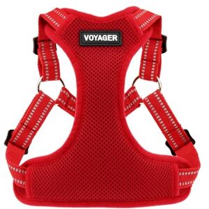 Voyager XL Hondengordel van Best Pet Supplies - Hondengordel Voyager XL Hondengordel van Best Pet Supplies - Hondengordel