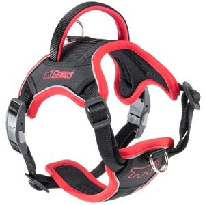 Ferplast Genius Small Dog Harness - Reflective, Breathable, Adjustable Ferplast Genius Small Dog Harness - Reflective, Breathable, Adjustable