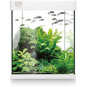 Ica Aquariumset - 10/20/30L Tropische Vissen Ica Aquariumset - 10/20/30L Tropische Vissen