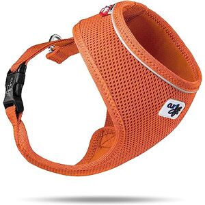 Curli Basic Air Mesh Hondenharnas - Klein, Oranje Curli Basic Air Mesh Hondenharnas - Klein, Oranje