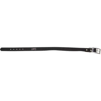 JACK AND VANILLA , Elegante en moderne dierenhalsband, individuele pasvorm, duurzame materialen, ideaal voor alle gelegenheden, maat M, kleur zwart, sportmodel JACK AND VANILLA , Elegante en moderne dierenhalsband, individuele pasvorm, duurzame materialen, ideaal voor alle gelegenheden, maat M, kleur zwart, sportmodel