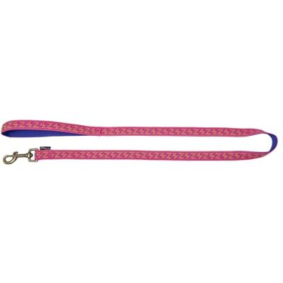 JACK AND VANILLA Ibiza hondenriem – robuuste riem met aangename handgreep en robuuste haak voor wandelen, uitstapjes – moderne look – kleur fuchsia, maat L, 20 mm x 120 cm JACK AND VANILLA Ibiza hondenriem – robuuste riem met aangename handgreep en robuuste haak voor wandelen, uitstapjes – moderne look – kleur fuchsia, maat L, 20 mm x 120 cm