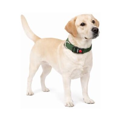 Flamingo Hond Halsband Ziggi Kaki L 45-65cm Flamingo Hond Halsband Ziggi Kaki L 45-65cm