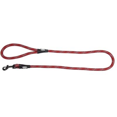 JACK AND VANILLA , Hondenriem met haak, model Luminous Dots, kleur: rood, afmetingen 12 mm x 120 cm JACK AND VANILLA , Hondenriem met haak, model Luminous Dots, kleur: rood, afmetingen 12 mm x 120 cm