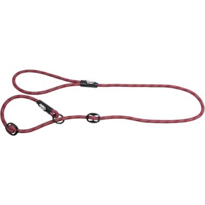 JACK AND VANILLA Luminous Dots Wurgriem voor honden, riem met lichtgevende punten, hoge zichtbaarheid voor wandelen, uitstapjes, kleur: rood, afmetingen 8 mm x 140 cm JACK AND VANILLA Luminous Dots Wurgriem voor honden, riem met lichtgevende punten, hoge zichtbaarheid voor wandelen, uitstapjes, kleur: rood, afmetingen 8 mm x 140 cm
