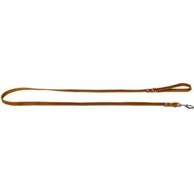 JACK AND VANILLA , Lange hondenriem, model vet leer, kleur cognac, maat 18 mm x 180 cm JACK AND VANILLA , Lange hondenriem, model vet leer, kleur cognac, maat 18 mm x 180 cm