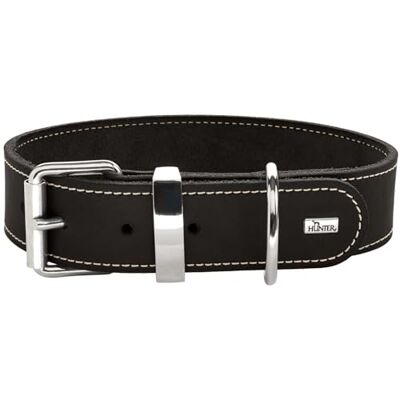 Aalborg Hoogwaardig hondenhalsband - Sport & Elegant Aalborg Hoogwaardig hondenhalsband - Sport & Elegant