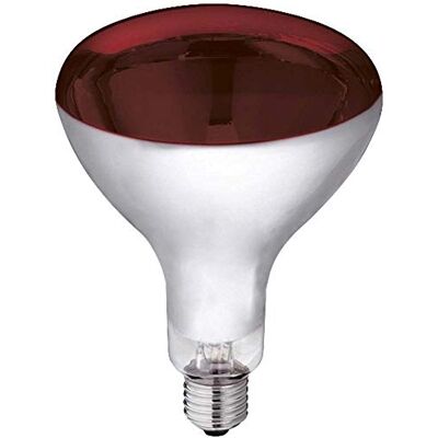 Kerbl Infraroodlamp rood (250 W, warmtelamp voor varken + gevogelte, looptijd max. 5000 uur, lampvoet E27, stallamp) 22245 Kerbl Infraroodlamp rood (250 W, warmtelamp voor varken + gevogelte, looptijd max. 5000 uur, lampvoet E27, stallamp) 22245