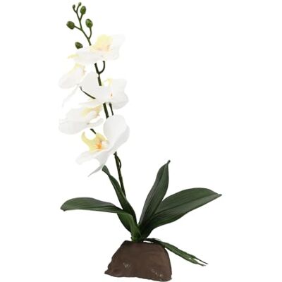 Lucky Reptile Scape it Easy Orchidee klein wit ca. 35 cm decoratieve plant voor terraria Lucky Reptile Scape it Easy Orchidee klein wit ca. 35 cm decoratieve plant voor terraria