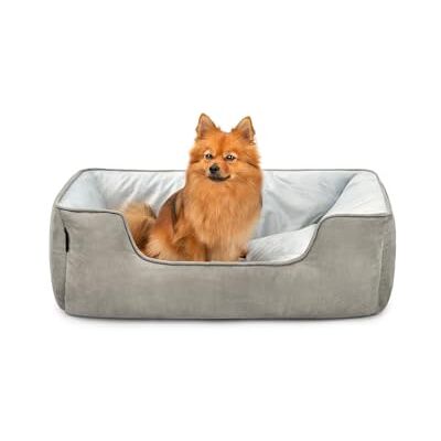 lionto 2-in-1 Hondenbed met comfortabele Instap, Knus Huisdierenbed omkeerbaar voor Honden en Katten, (M) 80x60 cm, Hondenkussen in Onderhoudsvriendelijke Suède-Look, Grijs lionto 2-in-1 Hondenbed met comfortabele Instap, Knus Huisdierenbed omkeerbaar voor Honden en Katten, (M) 80x60 cm, Hondenkussen in Onderhoudsvriendelijke Suède-Look, Grijs