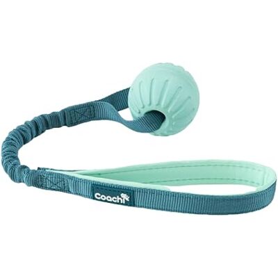 Coachi Hondentuigje - Huisdieraccessoire Coachi Hondentuigje - Huisdieraccessoire