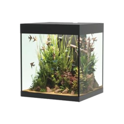 Askoll Opera Aqua 80 Black Askoll Opera Aqua 80 Black