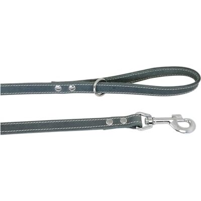 JACK AND VANILLA , Hondenriem, model vet leer, kleur grijs, afmetingen 10 mm x 120 cm JACK AND VANILLA , Hondenriem, model vet leer, kleur grijs, afmetingen 10 mm x 120 cm
