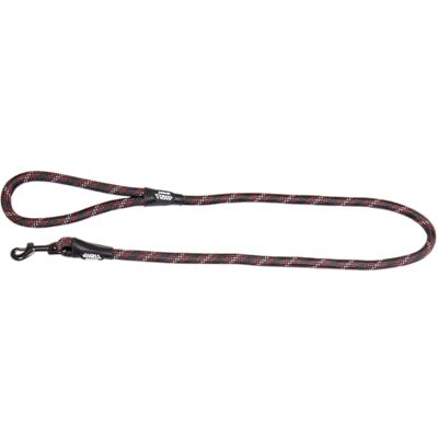 JACK AND VANILLA Robuuste hondenriem met lichtgevende punten en robuuste haak, voor wandelen, uitstapjes, kleur: zwart, afmetingen 12 mm x 120 cm JACK AND VANILLA Robuuste hondenriem met lichtgevende punten en robuuste haak, voor wandelen, uitstapjes, kleur: zwart, afmetingen 12 mm x 120 cm