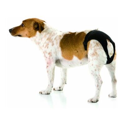 Doggli Noir T1 - Hondendiaper Doggli Noir T1 - Hondendiaper