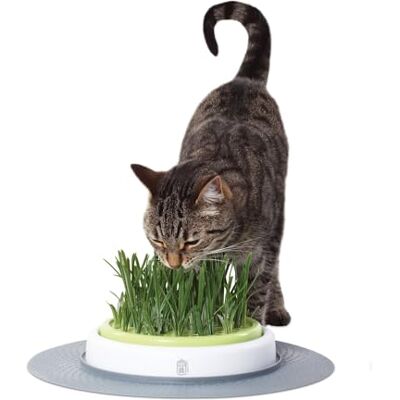 Catit Senses 2.0 Grasplantage - Kattenkruid Tuinset Catit Senses 2.0 Grasplantage - Kattenkruid Tuinset