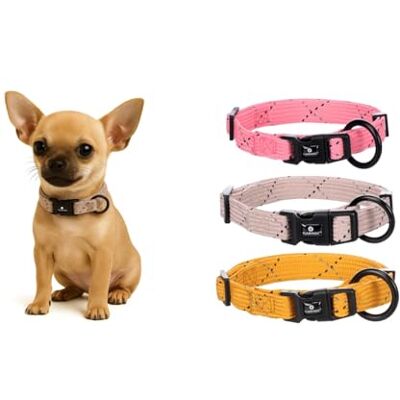Flamingo Halsband voor puppy's Dolly Taupe XXS 15-25 cm 10 mm met klikgesp en reflecterende strepen Flamingo Halsband voor puppy's Dolly Taupe XXS 15-25 cm 10 mm met klikgesp en reflecterende strepen