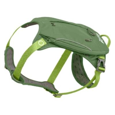 Kurgo Cascade Harnas met Rugzak, Medium, Groen Verstelbare Riemen, Duurzame Ripstop, Foam-Gevoerd, Opening voor Poepzakjes Kurgo Cascade Harnas met Rugzak, Medium, Groen Verstelbare Riemen, Duurzame Ripstop, Foam-Gevoerd, Opening voor Poepzakjes