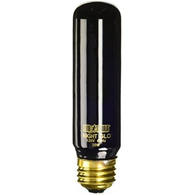 Exo Terra Nachtwarmte Lamp 25 W Exo Terra Nachtwarmte Lamp 25 W
