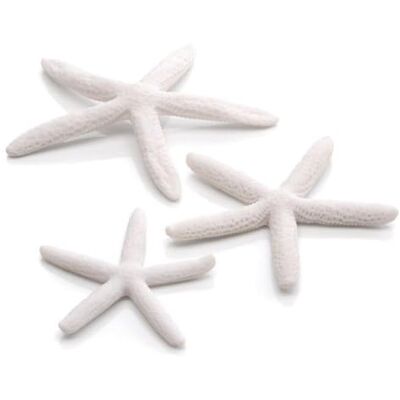 biOrb Aquariumdecoraties, keramische zeester (set van 3 aquariumornamenten, witte kleur), kunstmatige aquariumaccessoires om kleuraccent toe te voegen, natuurlijk ogende aquariumdecoratie voor biOrb Aquariumdecoraties, keramische zeester (set van 3 aquariumornamenten, witte kleur), kunstmatige aquariumaccessoires om kleuraccent toe te voegen, natuurlijk ogende aquariumdecoratie voor
