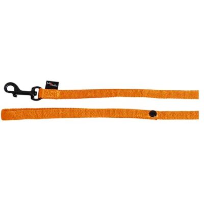 JACK AND VANILLA , Hondenriem, model Comfort Tube, nylon, kleur: oranje, maat 25 mm x 122 cm JACK AND VANILLA , Hondenriem, model Comfort Tube, nylon, kleur: oranje, maat 25 mm x 122 cm