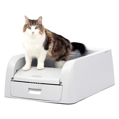 PetSafe ScoopFree Zelfreinigende kattenbak voor klonteren van strooisel Superieure geurbestrijding Nooit meer schep kattenbakvulling voor een- en meerkattenhuishoudens PetSafe ScoopFree Zelfreinigende kattenbak voor klonteren van strooisel Superieure geurbestrijding Nooit meer schep kattenbakvulling voor een- en meerkattenhuishoudens