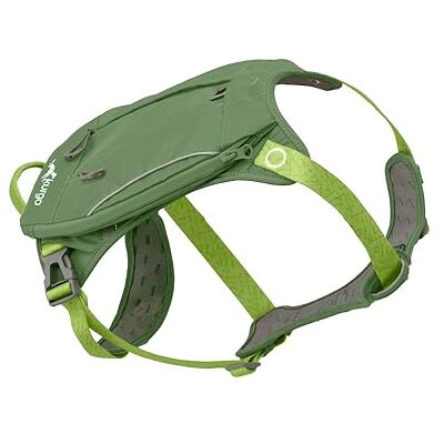 Kurgo Waterval Hondenharnas, wandelrugzak voor honden, huisdierharnas met rugzak voor kamperen met hond, maat S, groen 2-in-1 harnas met 3-pocket wandelrugzak, 4 verstelpunten, gewatteerde borst en buik, twee riempunten Kurgo Waterval Hondenharnas, wandelrugzak voor honden, huisdierharnas met rugzak voor kamperen met hond, maat S, groen 2-in-1 harnas met 3-pocket wandelrugzak, 4 verstelpunten, gewatteerde borst en buik, twee riempunten