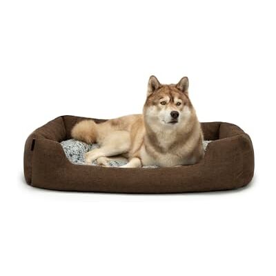 Dibea Hondenbed - Bruin - Zacht materiaal - Vouwbaar - Klein Dibea Hondenbed - Bruin - Zacht materiaal - Vouwbaar - Klein