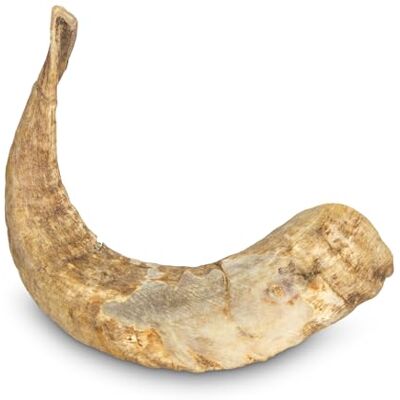 Arquivet Hondenspeelgoed Ram hoorn maat M (<200g) Arquivet Hondenspeelgoed Ram hoorn maat M (<200g)
