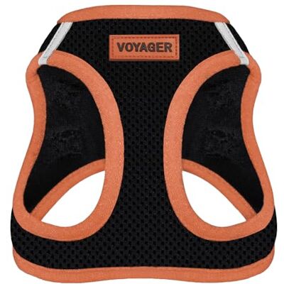 Best Pet Supplies Voyager Step-in Air Hondentuig, mesh voor alle weersomstandigheden, reflecterend, tegen trekken, voor kleine, middelgrote honden en katten, met veilige klittenbandsluiting, gesp, dubbele D-ringen, Best Pet Supplies Voyager Step-in Air Hondentuig, mesh voor alle weersomstandigheden, reflecterend, tegen trekken, voor kleine, middelgrote honden en katten, met veilige klittenbandsluiting, gesp, dubbele D-ringen,