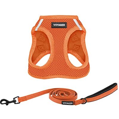 Best Pet Supplies Voyager Step-in Air Weerbestendig hondentuigje, mesh, reflecterende hondenriem, 1,5 m, combo neopreen handvat, kleine, middelgrote, grote rassen puppy's, harnas leibandset, oranje, M Best Pet Supplies Voyager Step-in Air Weerbestendig hondentuigje, mesh, reflecterende hondenriem, 1,5 m, combo neopreen handvat, kleine, middelgrote, grote rassen puppy's, harnas leibandset, oranje, M