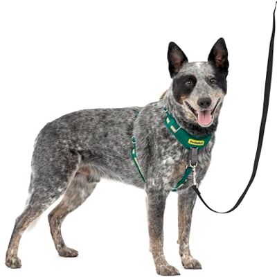 PetSafe Easy Walk Comfort Anti-trek hondentuigje, full-body padding betere wandelingen bij het eerste gebruik 5 aanpassingspunten medium/groot, groen Stopt trekken bij eerste gebruik met Martingale lus aan de voorkant, full-body vulling, 5-punts verstel PetSafe Easy Walk Comfort Anti-trek hondentuigje, full-body padding betere wandelingen bij het eerste gebruik 5 aanpassingspunten medium/groot, groen Stopt trekken bij eerste gebruik met Martingale lus aan de voorkant, full-body vulling, 5-punts verstel