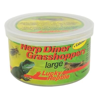 Lucky Reptile Herp Diner Grasshoppers, groot, 35 g, 2 stuks (2 x 35 g) Lucky Reptile Herp Diner Grasshoppers, groot, 35 g, 2 stuks (2 x 35 g)