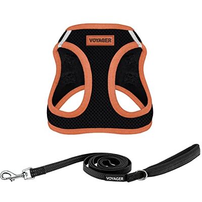 Best Pet Supplies Voyager Step-in Air Weerbestendig hondentuigje, mesh, reflecterende hondenriem, 1,5 m, combo neopreen handvat, kleine, middelgrote, grote rassen puppy's, zwart/oranje bekleding, XS Best Pet Supplies Voyager Step-in Air Weerbestendig hondentuigje, mesh, reflecterende hondenriem, 1,5 m, combo neopreen handvat, kleine, middelgrote, grote rassen puppy's, zwart/oranje bekleding, XS