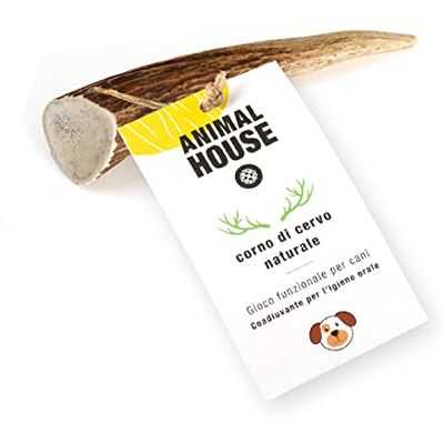 Animal House Hertengewei 5 stuks 100% natuurlijk kauwen Versterking van de mondhygiëne Robuust en duurzaam Verkrijgbaar in alle maten (XS) Animal House Hertengewei 5 stuks 100% natuurlijk kauwen Versterking van de mondhygiëne Robuust en duurzaam Verkrijgbaar in alle maten (XS)