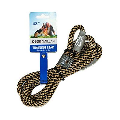 Cesar Millan Slip Lead Leash™ 2-in-1 sliphalsband voor hondentraining, hondenriem en halsband, robuust weerbestendig tuigje, niet-trek-training, 120 cm, 1 cm diameter (normaal, zwart/lichtbruin) Cesar Millan Slip Lead Leash™ 2-in-1 sliphalsband voor hondentraining, hondenriem en halsband, robuust weerbestendig tuigje, niet-trek-training, 120 cm, 1 cm diameter (normaal, zwart/lichtbruin)