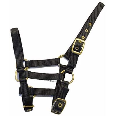 Rhinegold Nylon Veulen Halster Zwart Rhinegold Nylon Veulen Halster Zwart