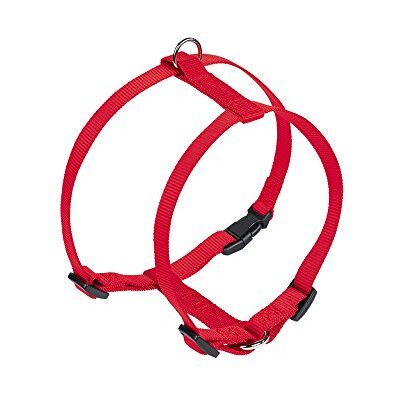 Nobby Servies Classic, rood borst: 20/35 cm, B: 10 mm, 1 stuk Nobby Servies Classic, rood borst: 20/35 cm, B: 10 mm, 1 stuk