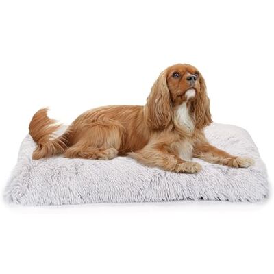 Ferplast Hondenkennel Binnenkussen voor Honden Zacht met Lange Vacht, Kattenkussen Super Gevoerd Kennel Extra Comfort en Warmte, 80 x 50 xh 12 cm Ferplast Hondenkennel Binnenkussen voor Honden Zacht met Lange Vacht, Kattenkussen Super Gevoerd Kennel Extra Comfort en Warmte, 80 x 50 xh 12 cm