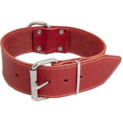 JACK AND VANILLA Brede halsband voor honden van vet leer voor middelgrote en grote honden Robuust, duurzaam, zacht aanvoelend, moderne look, rood, afmetingen 50 mm x 75 cm JACK AND VANILLA Brede halsband voor honden van vet leer voor middelgrote en grote honden Robuust, duurzaam, zacht aanvoelend, moderne look, rood, afmetingen 50 mm x 75 cm