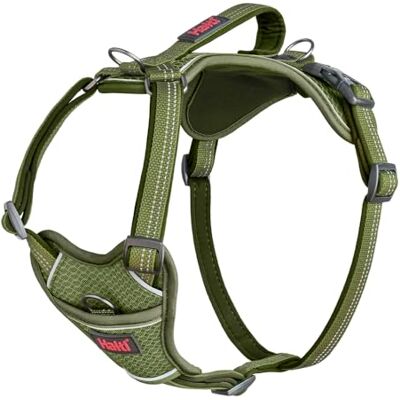 Halti Anatomie Hondenharnas met greep Maat L, Groen Verstelbaar en reflecterend anti-trektuig voor honden, met 3 bevestigingspunten voor de riem. Geschikt voor grote honden Halti Anatomie Hondenharnas met greep Maat L, Groen Verstelbaar en reflecterend anti-trektuig voor honden, met 3 bevestigingspunten voor de riem. Geschikt voor grote honden