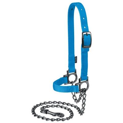 Weaver Livestock Weaver Leather Vee Nylon Verstelbare Schaap Halter met Ketting Lead, Blauw Weaver Livestock Weaver Leather Vee Nylon Verstelbare Schaap Halter met Ketting Lead, Blauw