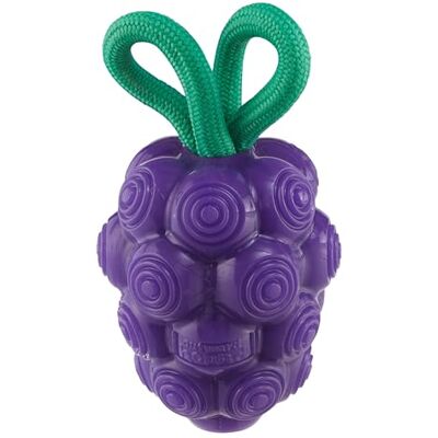Outward Hound by Planet Dog Dental Grapes 2-in-1 Hondenkauwspeelgoed en traktatievuller, medium, paars Outward Hound by Planet Dog Dental Grapes 2-in-1 Hondenkauwspeelgoed en traktatievuller, medium, paars