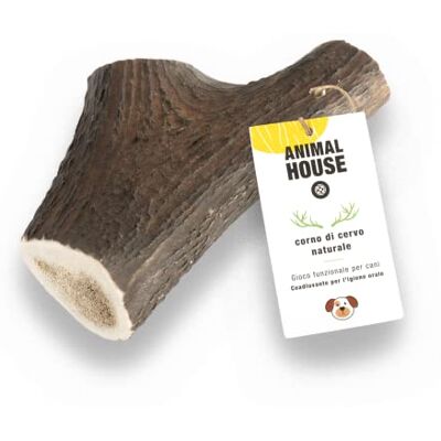 Animal House Hertengewei voor hele honden 100% natuurlijk kauwen versterking van de mondhygiëne Robuust en duurzaam Verkrijgbaar in alle maten (XXL) Animal House Hertengewei voor hele honden 100% natuurlijk kauwen versterking van de mondhygiëne Robuust en duurzaam Verkrijgbaar in alle maten (XXL)