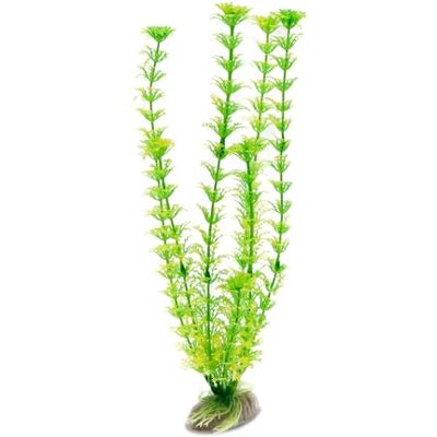 Amtra WAVE Cabomba Plant Classic, Groot Amtra WAVE Cabomba Plant Classic, Groot